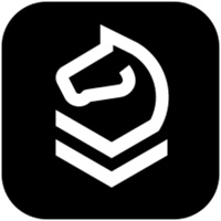 WPS黑马校对公有云v31.0.2.2